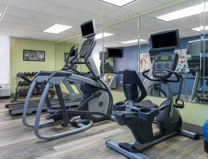 Fitness center at Holiday Inn with a range of workout machines, free weights, and a large wall mirror for guests.