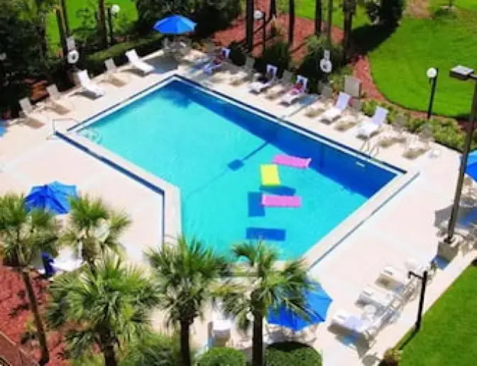 Aerial view of an outdoor swimming pool surrounded by palm trees, lounge chairs with blue umbrellas, and colorful pool floats.