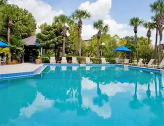Outdoor swimming pool surrounded by palm trees and lounge chairs with blue umbrellas, under a bright sky.