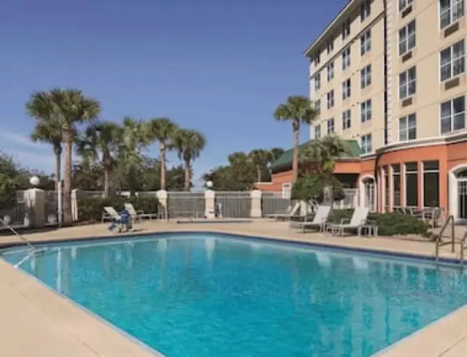 Large outdoor swimming pool featuring tall palm trees and lounge chairs against a warm summer afternoon sky.