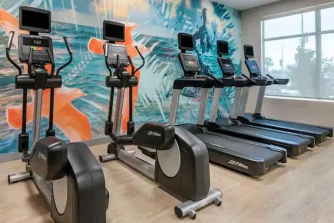 Cardio gym equipment featuring ellipticals and treadmills alongside a vibrant mural with orange seagulls and blue palm leaves.