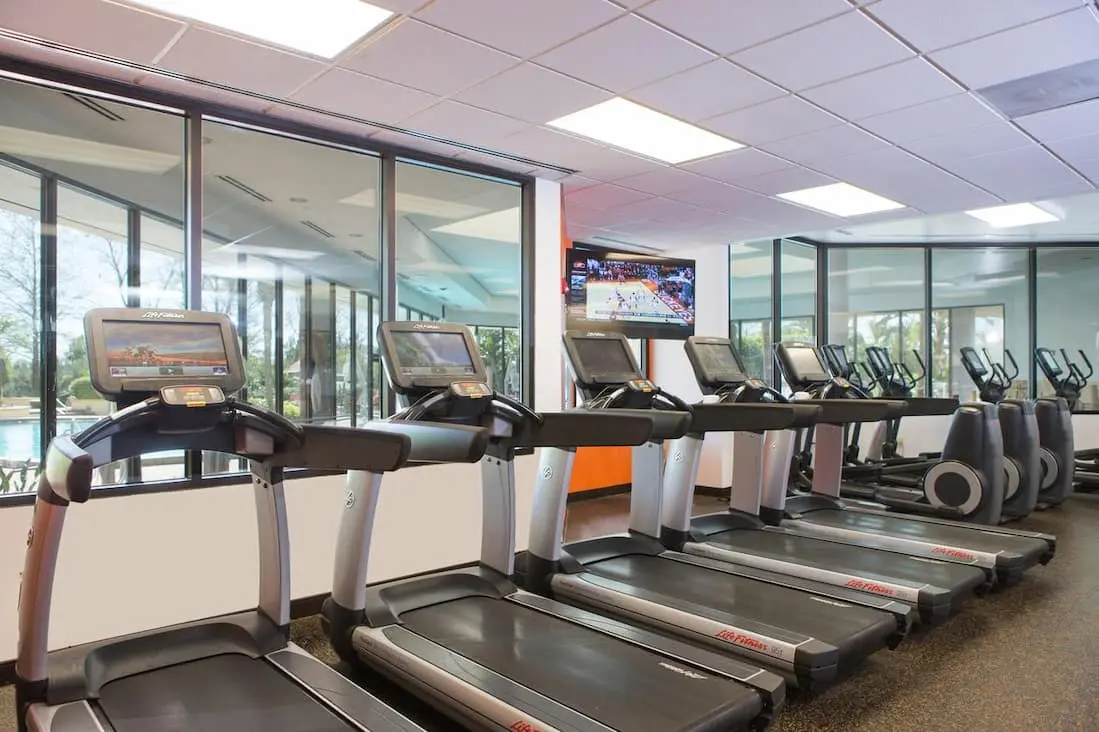 Modern gym equipped with multiple treadmills and exercise machines, overlooking an outdoor pool.