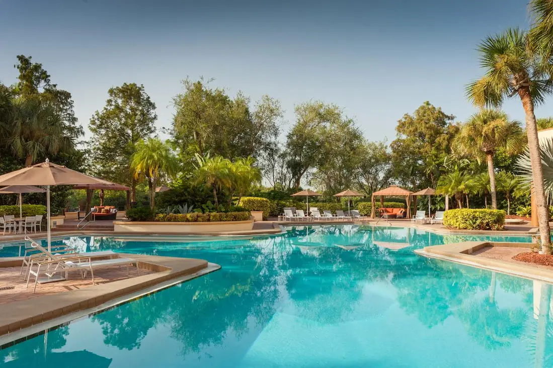 Outdoor swimming pool area with lounge chairs and umbrellas surrounded by lush greenery.