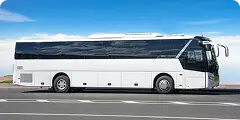 White shuttle bus parked on the road under a clear blue sky, ready for cruise transportation.